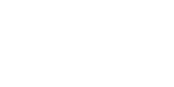 에볼루션 게이밍 Logo