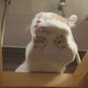 서아름 avatar